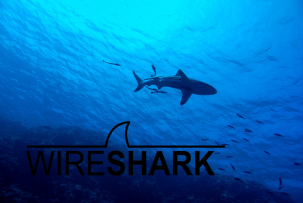 Реліз Wireshark 4.4.7