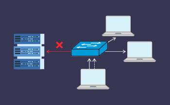 Автоматична приватна IP-адресація (APIPA): Визначення, функціональність та випадки використання