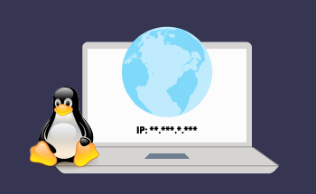 Короткий посібник зі встановлення тимчасової статичної IP-адреси у Linux