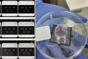 Будівництво дата-центрів із людських клітин мозку