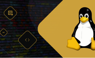 Linux Shell і Shell Scripts: основи та ключові поняття